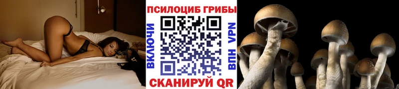 Галлюциногенные грибы Psilocybe  хочу   Алупка 